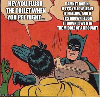 Batman Slapping Robin | DAMN IT ROBIN, IF IT'S YELLOW LEAVE IT MELLOW, AND IF IT'S BROWN FLUSH IT DOWN!!! WE R IN THE MIDDLE OF A DROUGHT; HEY YOU FLUSH THE TOILET WHEN YOU PEE RIGHT... | image tagged in memes,batman slapping robin | made w/ Imgflip meme maker