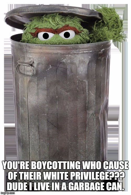 oscar the grouch | YOU'RE BOYCOTTING WHO CAUSE OF THEIR WHITE PRIVILEGE??? DUDE I LIVE IN A GARBAGE CAN. | image tagged in oscar the grouch | made w/ Imgflip meme maker