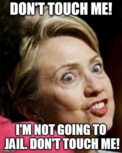 Hillary Clinton Fish | DON'T TOUCH ME! I'M NOT GOING TO JAIL. DON'T TOUCH ME! | image tagged in hillary clinton fish | made w/ Imgflip meme maker