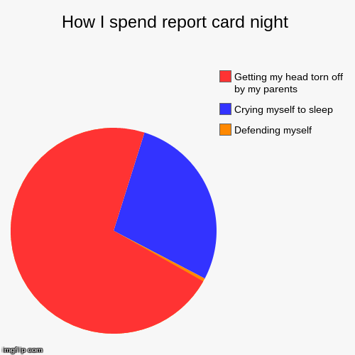 image tagged in funny,pie charts,school,report card,parents | made w/ Imgflip chart maker