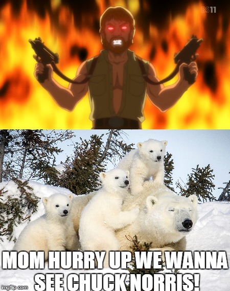 When Chuck Norris is around everyone wants to see him. | MOM HURRY UP WE WANNA SEE CHUCK NORRIS! | image tagged in chuck norris,polar bear | made w/ Imgflip meme maker