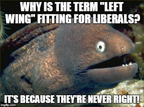 Bad Joke Eel Meme | WHY IS THE TERM "LEFT WING" FITTING FOR LIBERALS? IT'S BECAUSE THEY'RE NEVER RIGHT! | image tagged in memes,bad joke eel | made w/ Imgflip meme maker