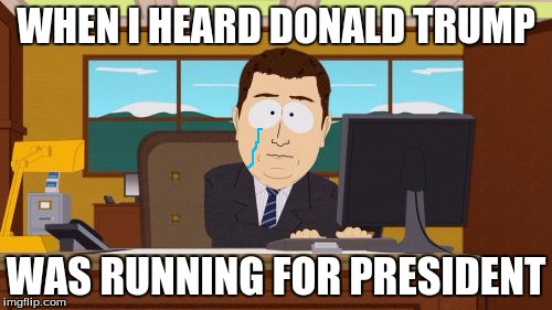 Aaaaand Its Gone | WHEN I HEARD DONALD TRUMP; WAS RUNNING FOR PRESIDENT | image tagged in memes,aaaaand its gone | made w/ Imgflip meme maker
