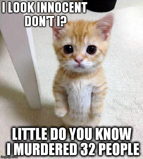 Cute Cat | I LOOK INNOCENT DON'T I? LITTLE DO YOU KNOW I MURDERED 32 PEOPLE | image tagged in memes,cute cat | made w/ Imgflip meme maker