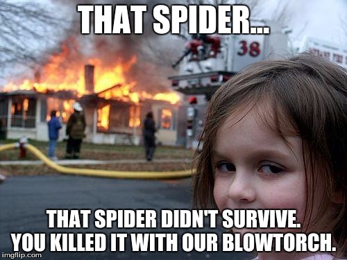 Disaster Girl | THAT SPIDER... THAT SPIDER DIDN'T SURVIVE. YOU KILLED IT WITH OUR BLOWTORCH. | image tagged in memes,disaster girl | made w/ Imgflip meme maker