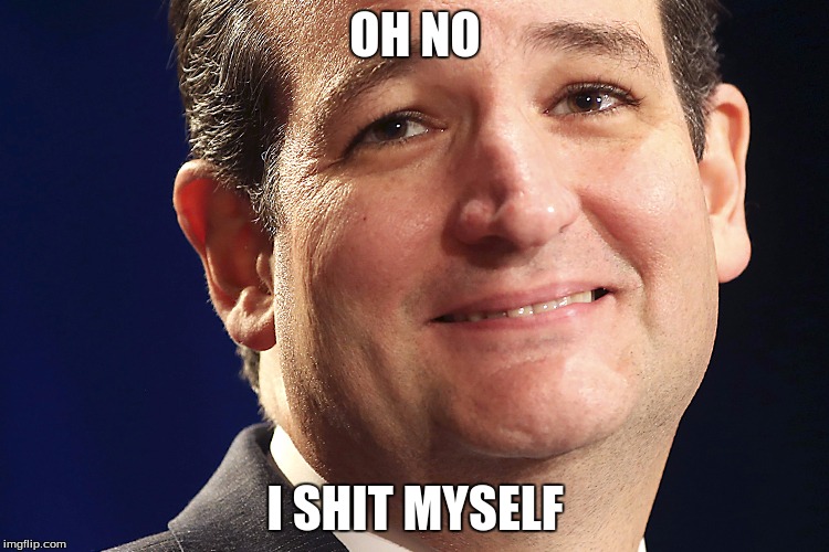 Ted Cruz | OH NO; I SHIT MYSELF | image tagged in ted cruz | made w/ Imgflip meme maker