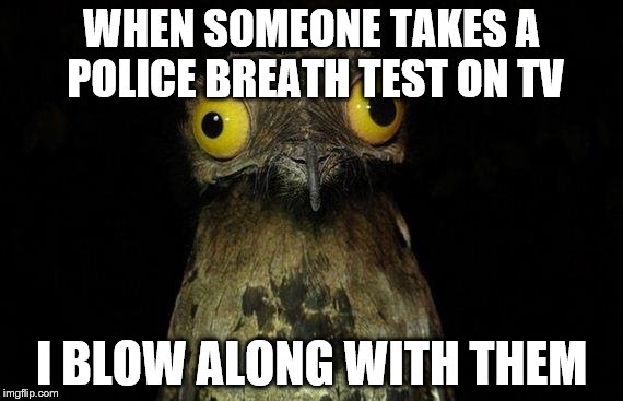 Weird Stuff I Do Potoo | WHEN SOMEONE TAKES A POLICE BREATH TEST ON TV; I BLOW ALONG WITH THEM | image tagged in memes,weird stuff i do potoo,tv,police | made w/ Imgflip meme maker