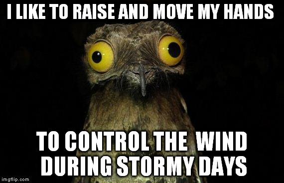 I'm the real air bender! :o | I LIKE TO RAISE AND MOVE MY HANDS; TO CONTROL THE  WIND DURING STORMY DAYS | image tagged in memes,weird stuff i do potoo | made w/ Imgflip meme maker