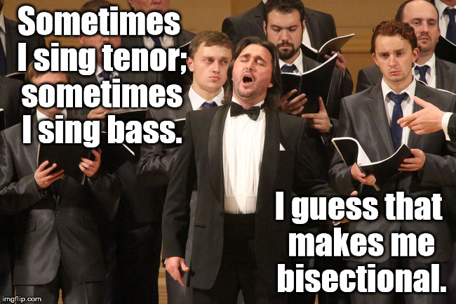 On the plus side, it doubles my chances of getting a solo. | Sometimes I sing tenor; sometimes I sing bass. I guess that makes me bisectional. | image tagged in music,choir,singing,tenor,bass,bisectional | made w/ Imgflip meme maker