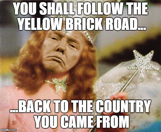 Glinda Trump | YOU SHALL FOLLOW THE YELLOW BRICK ROAD... ...BACK TO THE COUNTRY YOU CAME FROM | image tagged in glinda trump | made w/ Imgflip meme maker