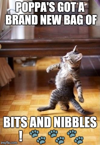 Cool Cat Stroll | POPPA'S GOT A BRAND NEW BAG OF; BITS AND NIBBLES !   🐾 🐾 🐾 | image tagged in memes,cool cat stroll | made w/ Imgflip meme maker