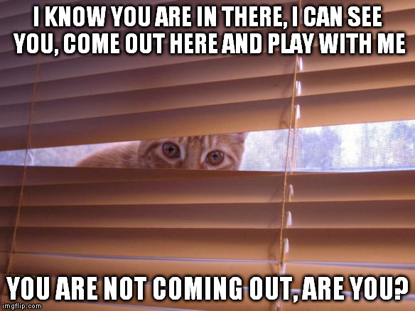 I KNOW YOU ARE IN THERE, I CAN SEE YOU, COME OUT HERE AND PLAY WITH ME YOU ARE NOT COMING OUT, ARE YOU? | made w/ Imgflip meme maker