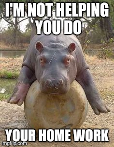 Happy hippo | I'M NOT HELPING YOU DO YOUR HOME WORK | image tagged in happy hippo | made w/ Imgflip meme maker