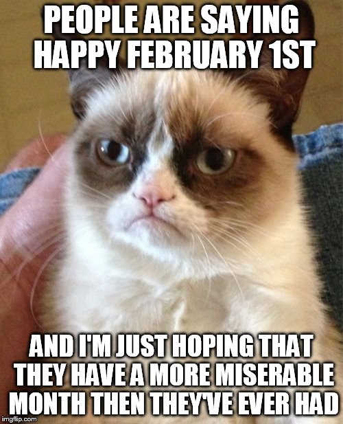 Grumpy Cat Meme | PEOPLE ARE SAYING HAPPY FEBRUARY 1ST; AND I'M JUST HOPING THAT THEY HAVE A MORE MISERABLE MONTH THEN THEY'VE EVER HAD | image tagged in memes,grumpy cat | made w/ Imgflip meme maker