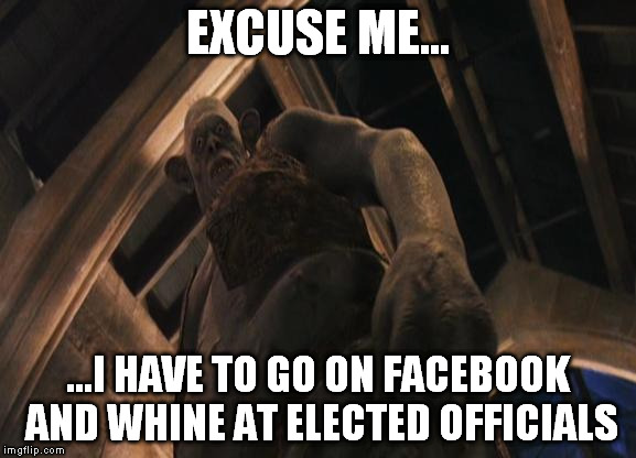 EXCUSE ME... ...I HAVE TO GO ON FACEBOOK AND WHINE AT ELECTED OFFICIALS | image tagged in troll,facebook | made w/ Imgflip meme maker