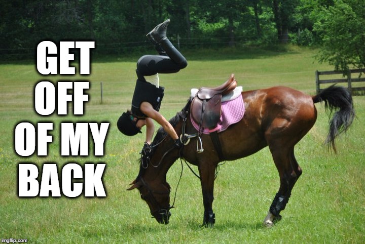 Get Off Of My Back | GET OFF OF MY BACK | image tagged in get off my back,horse,equestrian,thrown rider,barrel racing | made w/ Imgflip meme maker