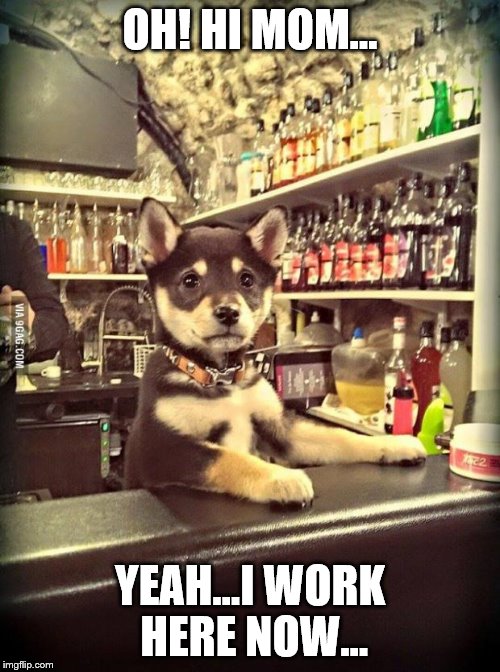 Bartender Puppy | OH! HI MOM... YEAH...I WORK HERE NOW... | image tagged in bartender puppy | made w/ Imgflip meme maker