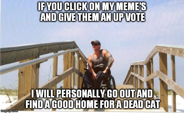 IF YOU CLICK ON MY MEME'S AND GIVE THEM AN UP VOTE; I WILL PERSONALLY GO OUT AND FIND A GOOD HOME FOR A DEAD CAT | image tagged in cats | made w/ Imgflip meme maker