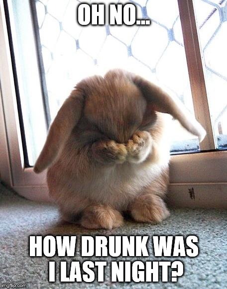 embarrassed bunny | OH NO... HOW DRUNK WAS I LAST NIGHT? | image tagged in embarrassed bunny | made w/ Imgflip meme maker