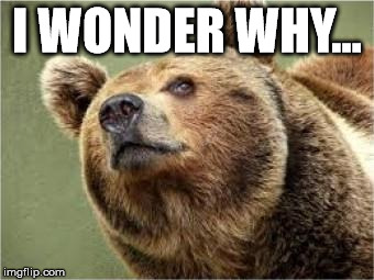 Smug Bear Meme | I WONDER WHY... | image tagged in memes,smug bear | made w/ Imgflip meme maker