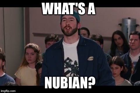 What's a Nubian? | WHAT'S A; NUBIAN? | image tagged in what's a nubian | made w/ Imgflip meme maker