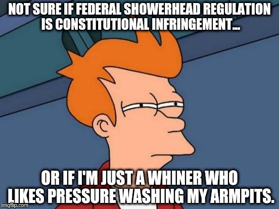 Seriously, can I just get some water pressure? | NOT SURE IF FEDERAL SHOWERHEAD REGULATION IS CONSTITUTIONAL INFRINGEMENT... OR IF I'M JUST A WHINER WHO LIKES PRESSURE WASHING MY ARMPITS. | image tagged in memes,futurama fry,politics,government,constitution | made w/ Imgflip meme maker