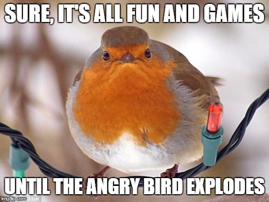 SURE, IT'S ALL FUN AND GAMES UNTIL THE ANGRY BIRD EXPLODES | made w/ Imgflip meme maker