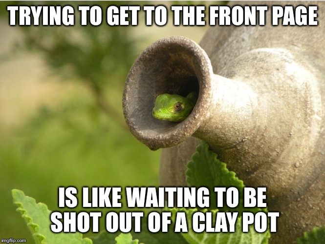 TRYING TO GET TO THE FRONT PAGE; IS LIKE WAITING TO BE SHOT OUT OF A CLAY POT | image tagged in lizard inside pot | made w/ Imgflip meme maker