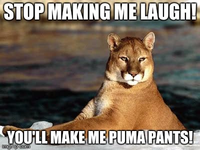 punny puma | STOP MAKING ME LAUGH! YOU'LL MAKE ME PUMA PANTS! | image tagged in punny puma | made w/ Imgflip meme maker