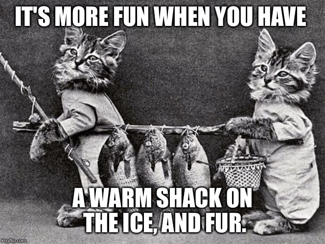 Ancient Feline Fun | IT'S MORE FUN WHEN YOU HAVE A WARM SHACK ON THE ICE, AND FUR. | image tagged in ancient feline fun | made w/ Imgflip meme maker