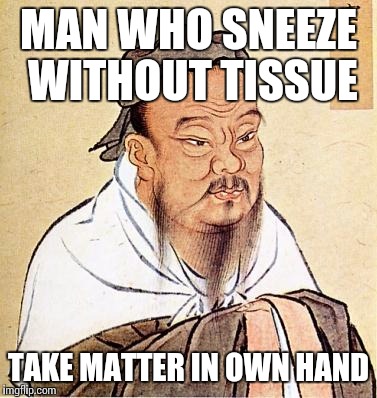 confucius | MAN WHO SNEEZE WITHOUT TISSUE; TAKE MATTER IN OWN HAND | image tagged in confucius | made w/ Imgflip meme maker