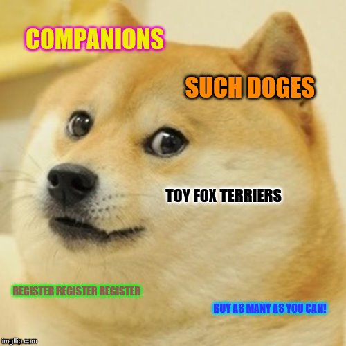 Doge Meme | COMPANIONS; SUCH DOGES; TOY FOX TERRIERS; REGISTER REGISTER REGISTER; BUY AS MANY AS YOU CAN! | image tagged in memes,doge | made w/ Imgflip meme maker