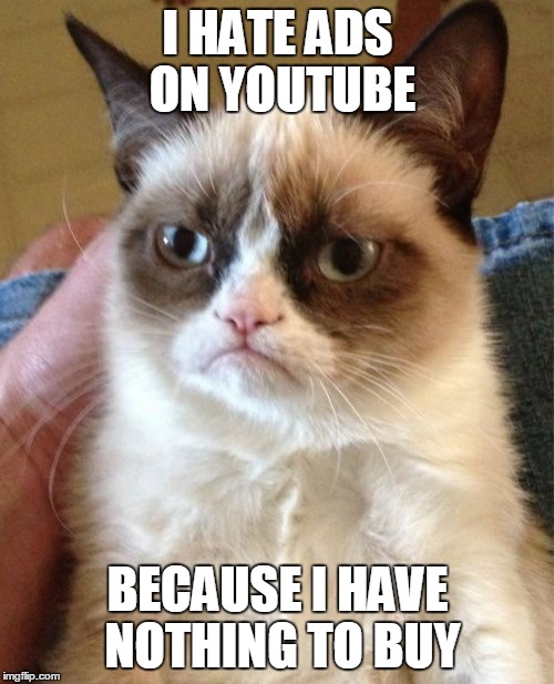 Grumpy Cat Meme | I HATE ADS ON YOUTUBE BECAUSE I HAVE NOTHING TO BUY | image tagged in memes,grumpy cat | made w/ Imgflip meme maker