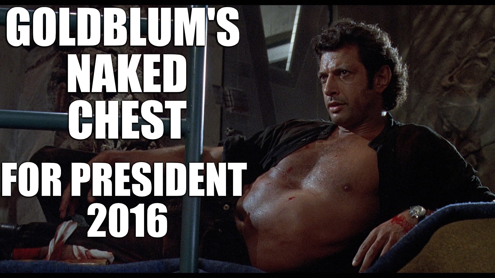 Goldblum's naked chest for president | GOLDBLUM'S NAKED CHEST; FOR PRESIDENT 2016 | image tagged in jeff goldblum,president,iowa,caucus,election 2016,funny | made w/ Imgflip meme maker
