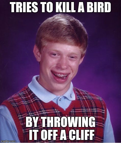 wtf | TRIES TO KILL A BIRD; BY THROWING IT OFF A CLIFF | image tagged in memes,bad luck brian | made w/ Imgflip meme maker