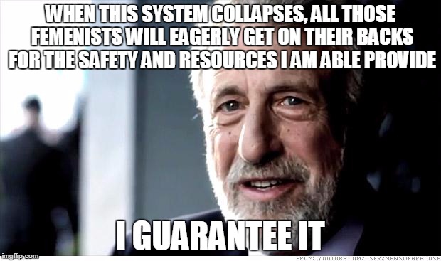 I Guarantee It Meme | WHEN THIS SYSTEM COLLAPSES, ALL THOSE FEMENISTS WILL EAGERLY GET ON THEIR BACKS FOR THE SAFETY AND RESOURCES I AM ABLE PROVIDE; I GUARANTEE IT | image tagged in memes,i guarantee it | made w/ Imgflip meme maker