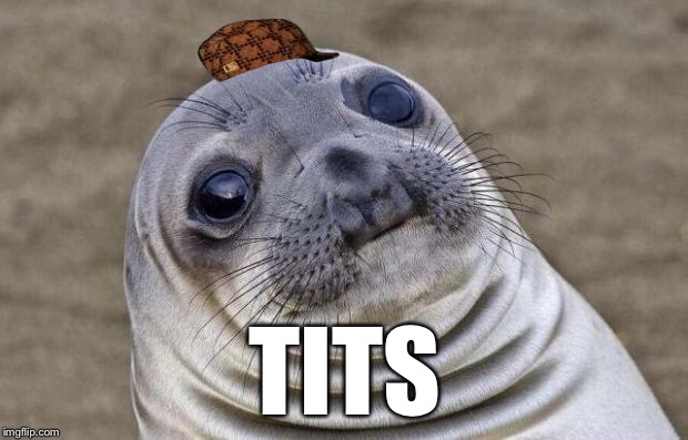 Awkward Moment Sealion | TITS | image tagged in memes,awkward moment sealion,scumbag | made w/ Imgflip meme maker