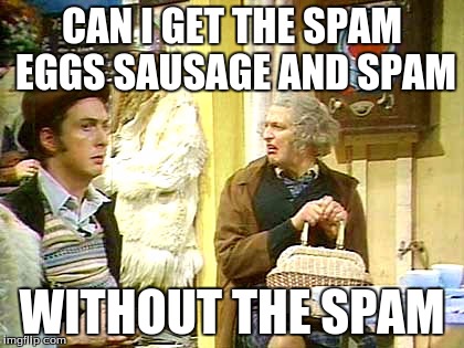 spam | CAN I GET THE SPAM EGGS SAUSAGE AND SPAM WITHOUT THE SPAM | image tagged in spam | made w/ Imgflip meme maker