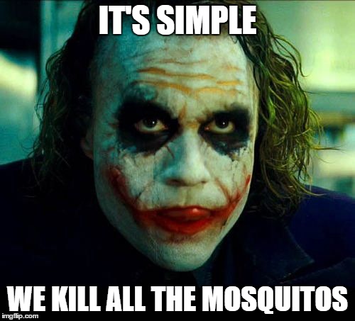 Joker. It's simple we kill the batman | IT'S SIMPLE; WE KILL ALL THE MOSQUITOS | image tagged in joker it's simple we kill the batman,AdviceAnimals | made w/ Imgflip meme maker