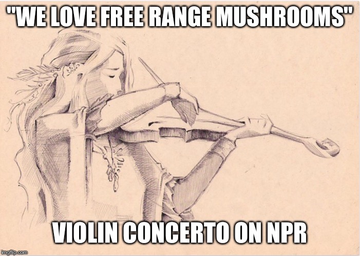 VIOLIN WOMAN | "WE LOVE FREE RANGE MUSHROOMS" VIOLIN CONCERTO ON NPR | image tagged in violin woman | made w/ Imgflip meme maker