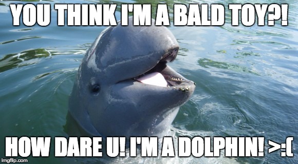 Irrawaddy Dolphin | YOU THINK I'M A BALD TOY?! HOW DARE U! I'M A DOLPHIN! >:( | image tagged in memes,funny | made w/ Imgflip meme maker