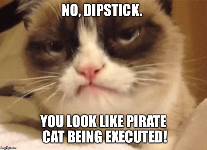DISAPPROVING GRUMPY CAT | NO, DIPSTICK. YOU LOOK LIKE PIRATE CAT BEING EXECUTED! | image tagged in disapproving grumpy cat | made w/ Imgflip meme maker