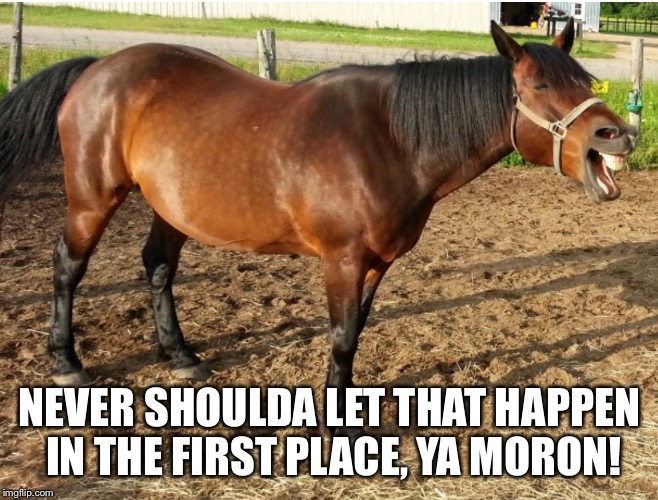 LAUGHING HORSE | NEVER SHOULDA LET THAT HAPPEN IN THE FIRST PLACE, YA MORON! | image tagged in laughing horse | made w/ Imgflip meme maker