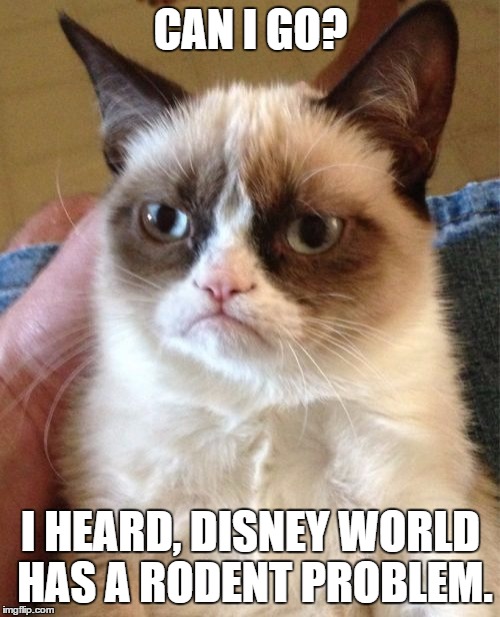 Grumpy Cat Meme | CAN I GO? I HEARD, DISNEY WORLD HAS A RODENT PROBLEM. | image tagged in memes,grumpy cat | made w/ Imgflip meme maker
