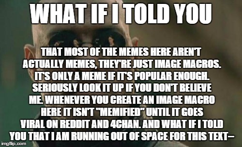 Matrix Morpheus Meme | WHAT IF I TOLD YOU; THAT MOST OF THE MEMES HERE AREN'T ACTUALLY MEMES, THEY'RE JUST IMAGE MACROS. IT'S ONLY A MEME IF IT'S POPULAR ENOUGH. SERIOUSLY LOOK IT UP IF YOU DON'T BELIEVE ME. WHENEVER YOU CREATE AN IMAGE MACRO HERE IT ISN'T "MEMIFIED" UNTIL IT GOES VIRAL ON REDDIT AND 4CHAN. AND WHAT IF I TOLD YOU THAT I AM RUNNING OUT OF SPACE FOR THIS TEXT-- | image tagged in memes,matrix morpheus | made w/ Imgflip meme maker