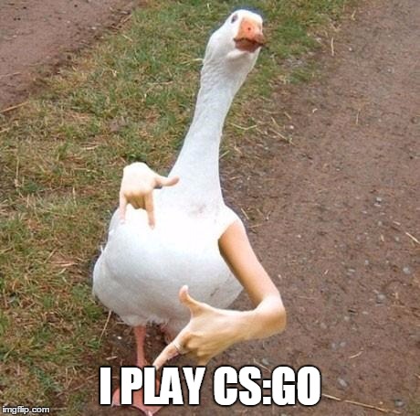 swagger goose | I PLAY CS:GO | image tagged in swagger goose | made w/ Imgflip meme maker