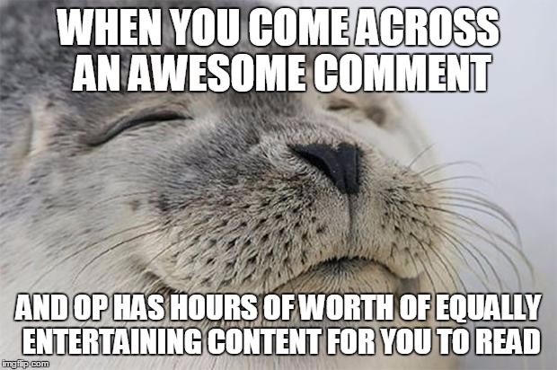 Satisfied Seal Meme | WHEN YOU COME ACROSS AN AWESOME COMMENT; AND OP HAS HOURS OF WORTH OF EQUALLY ENTERTAINING CONTENT FOR YOU TO READ | image tagged in memes,satisfied seal | made w/ Imgflip meme maker
