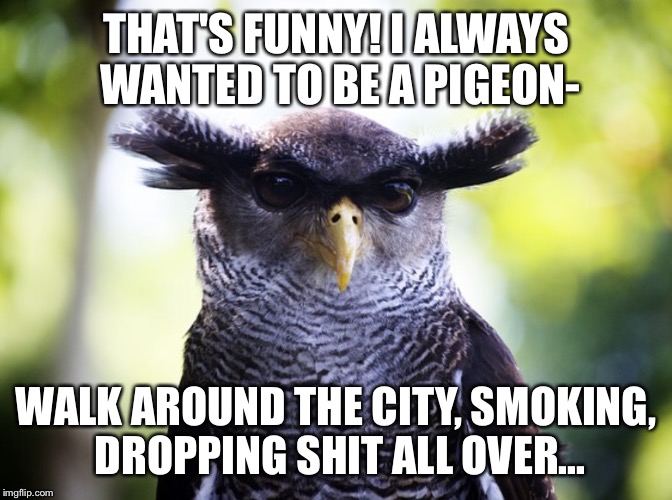 THAT'S FUNNY! I ALWAYS WANTED TO BE A PIGEON- WALK AROUND THE CITY, SMOKING, DROPPING SHIT ALL OVER... | image tagged in eyebrowl | made w/ Imgflip meme maker