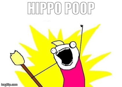HIPPO POOP | image tagged in memes,x all the y | made w/ Imgflip meme maker