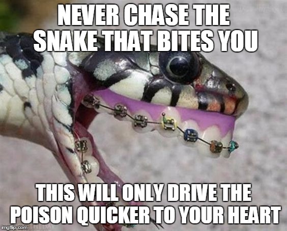 NEVER CHASE THE SNAKE THAT BITES YOU | NEVER CHASE THE SNAKE THAT BITES YOU; THIS WILL ONLY DRIVE THE POISON QUICKER TO YOUR HEART | image tagged in mean people,anger,bad business,revenge | made w/ Imgflip meme maker